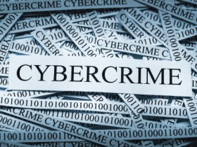 Lawyer for Cybercrime